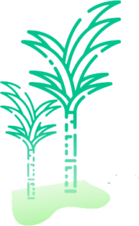 cañavctor
