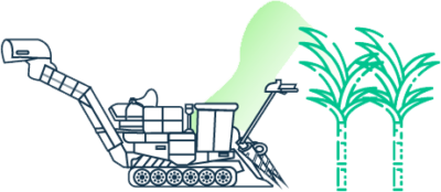 recolectar